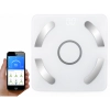 Analityczna waga łazienkowa bluetooth 180kg szkło