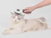 Szczotka do sierści dla psa kota samoczyszcząca