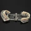 Model stomatologiczny szczęka z zębami i implantami