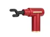 Pistolet do masażu masażer do pleców i ciała Verk model 24216_CZE