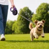 Smycz mocna automatyczna z blokadą dla psa taśma wytrzymała długa 5m 15kg