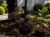 Wiertło ogrodowe świder do sadzenia roślin do wiertarki wkrętarki 59cm