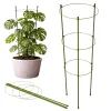 Podpora pierścieniowa do roślin 90 cm, 3 obręcze, zielona, 1 sztuka