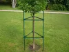 Tyczka trójkątna do roślin 120 cm stabilna 3 sztuki