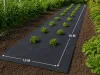 Gruba agrowłóknina 50g 1,5m x 10m antchwastowa mata ściółkująca czarna