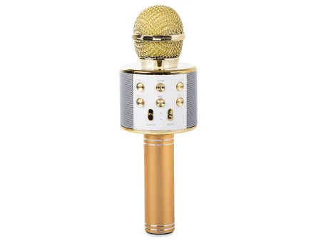 Mikrofon bezprzewodowy Bluetooth głośnik karaoke okrągły z etui różne tryby