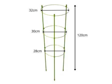 Podpora pierścieniowa do roślin 120cm obręcz do kwiatów 3 pierścień DIVODV